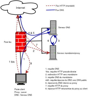 Image Proxy-Transparent